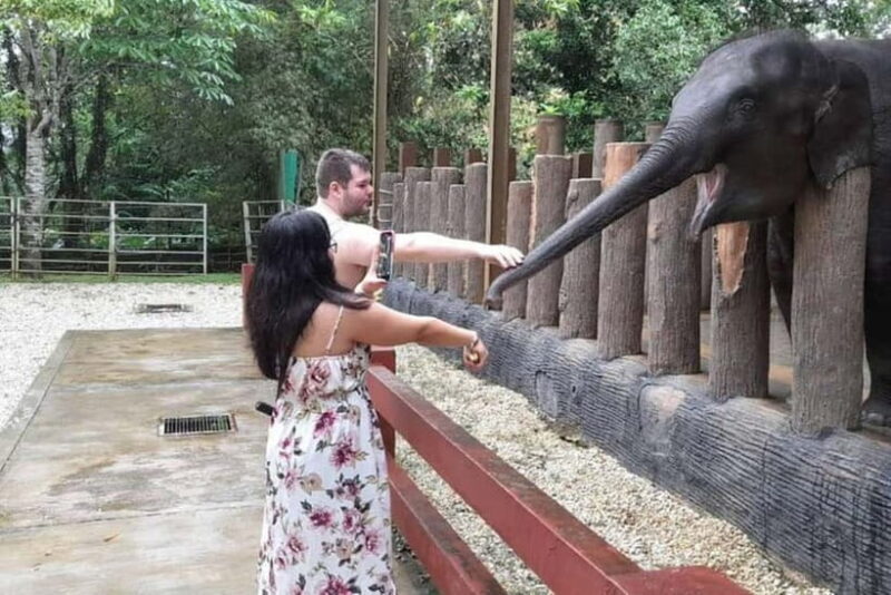 From Kuala Lumpur: Kuala Gandah & Batu Caves Day Trip - Final Thoughts: Is This Tour Right for You?