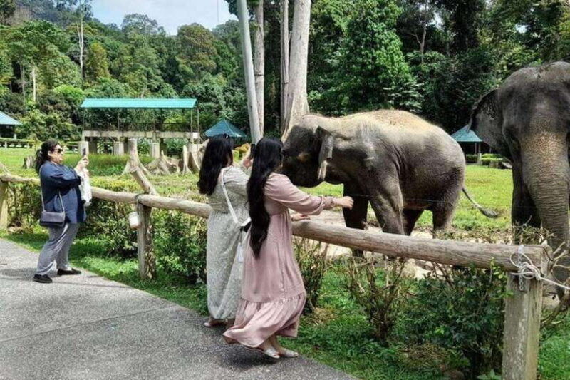 from-kuala-lumpur-kuala-gandah-batu-caves-day-trip