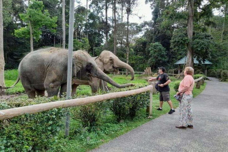 from-kuala-lumpur-kuala-gandah-batu-caves-day-trip