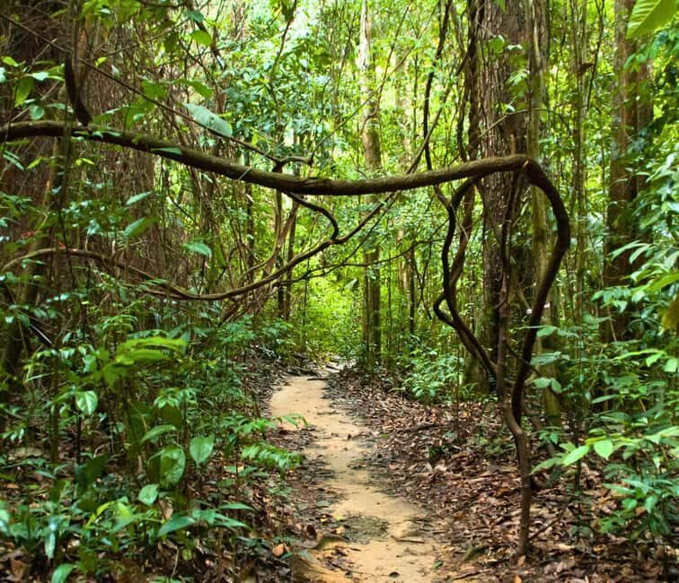 From Kuala Lumpur: Taman Negara National Park Private Tour - Practical Details: What You Need To Know