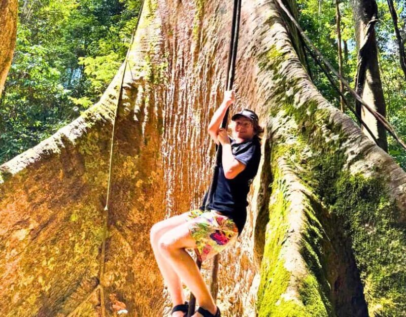 From Kuala Lumpur: Taman Negara National Park Private Tour - Is This Tour Right for You?