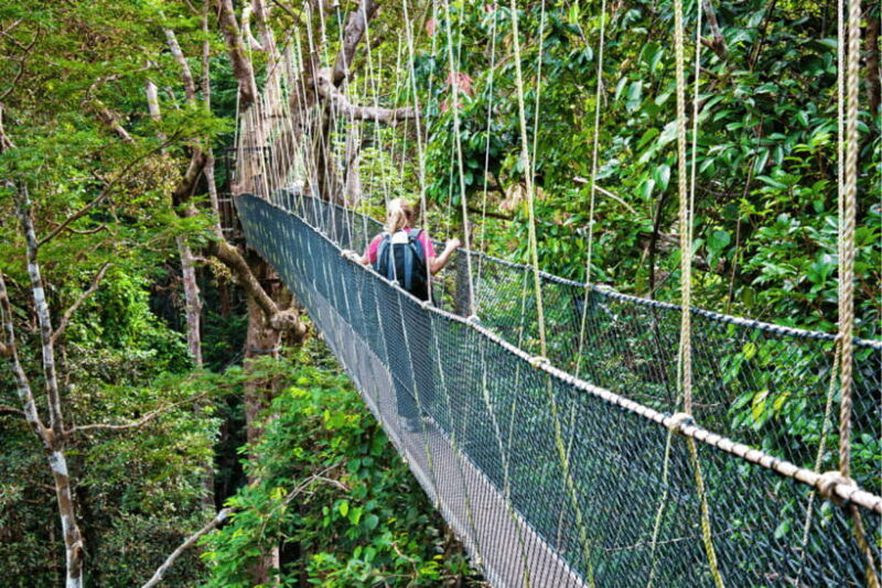 from-kuala-lumpur-taman-negara-national-park-private-tour