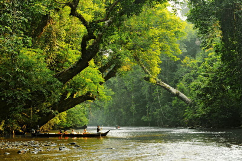 from-kuala-lumpur-taman-negara-national-park-private-tour