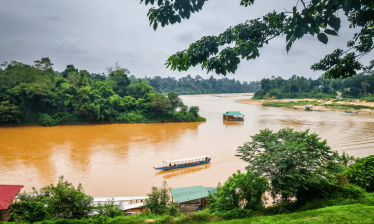 from-kuala-lumpur-taman-negara-national-park-private-tour