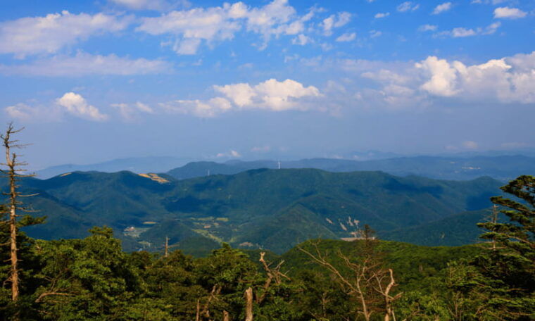 from-kuala-lumpur-taman-negara-national-park-private-tour