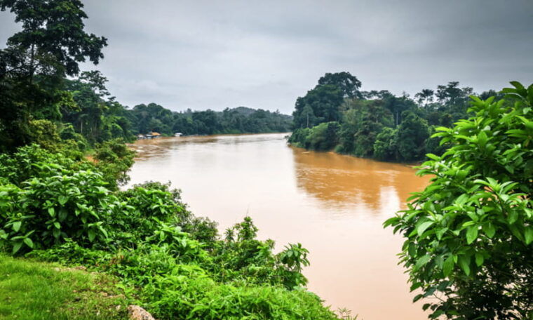 from-kuala-lumpur-taman-negara-national-park-private-tour