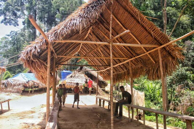 from-kuala-lumpur-taman-negara-national-park-trek-day-tour