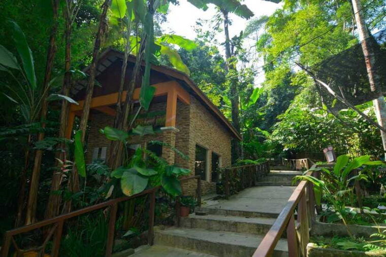 from-kuala-lumpur-taman-negara-private-tour
