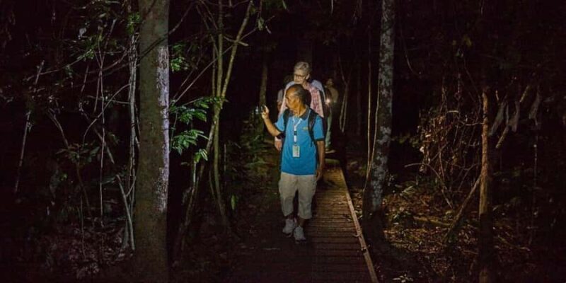 From Kuala Tahan : 4-Day Taman Negara Rainforest Tour - Exploring Taman Negara: What You Can Expect