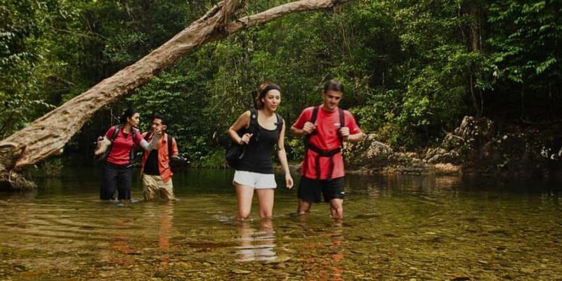 From Kuala Tahan : 4-Day Taman Negara Rainforest Tour - Final Thoughts: Who Should Consider This Tour?
