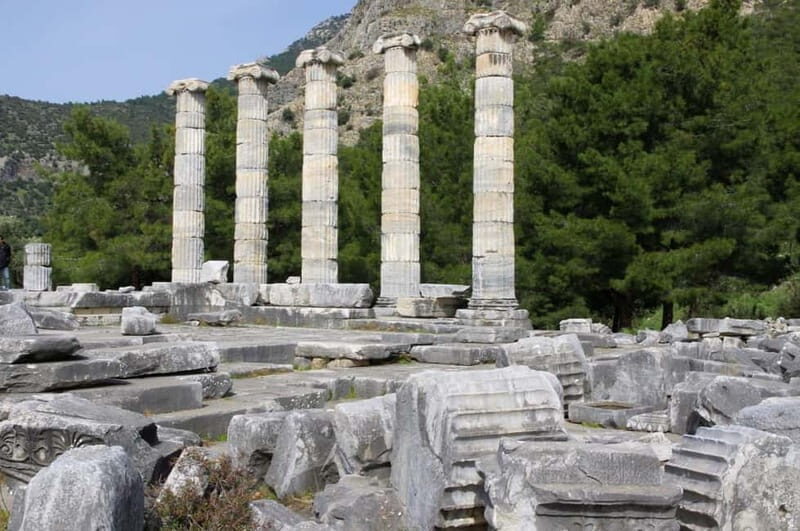 From Kusadasi Port: Priene, Miletus, and Didyma Daily Tour - Didyma and the Temple of Apollo: A Divine Sacred Site