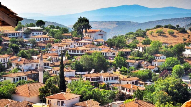 from-kusadasi-port-private-ephesus-and-sirince-village-tour