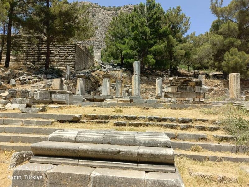 from-kusadasi-priene-miletus-and-didyma-private-tour