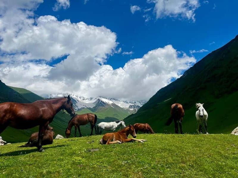 From Kutaisi: Svaneti Mountain Villages 2-Day 4x4 Safari - Travel Logistics and Practicalities