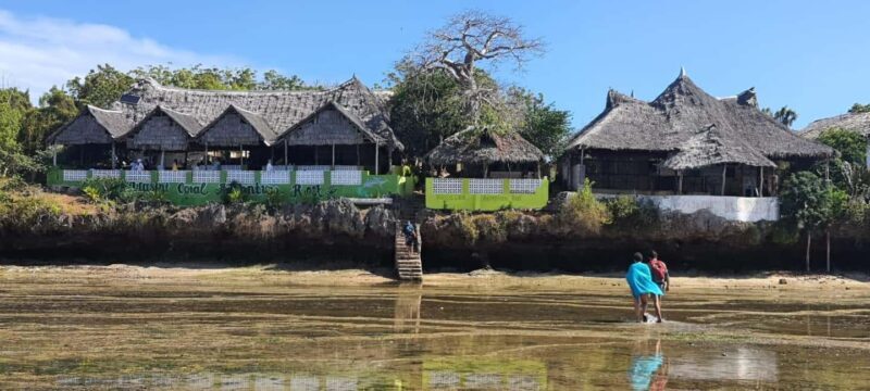 From Kwale: Kisite Mpunguti Marine National Park Tour - Key Points