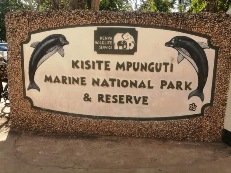 From Kwale: Kisite Mpunguti Marine National Park Tour - What to Expect from the Kisite Mpunguti Marine National Park Tour