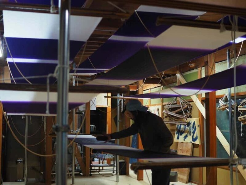 From Kyoto: Hikizome Dyeing in Shiga with Guide, Taxi Option - What’s included and what to expect