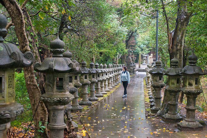 From Kyoto Island Exploration with Local Seafood Lunch - Final Thoughts