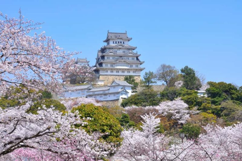 From Kyoto: Japanese Swordsmith & Himeji Castle Bus Tour - Key Points