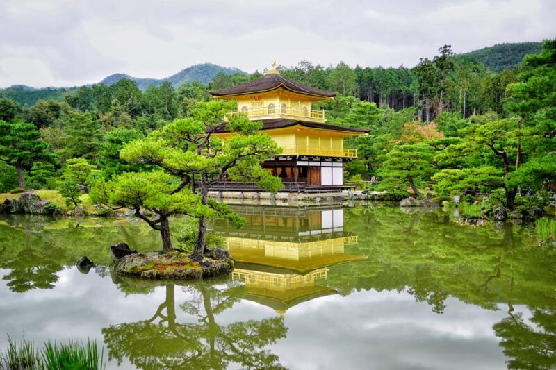 from-kyoto-kyoto-and-nara-golden-route-full-day-bus-tour