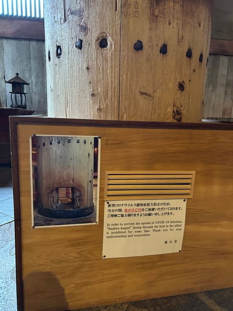 from-kyoto-kyoto-and-nara-golden-route-full-day-bus-tour