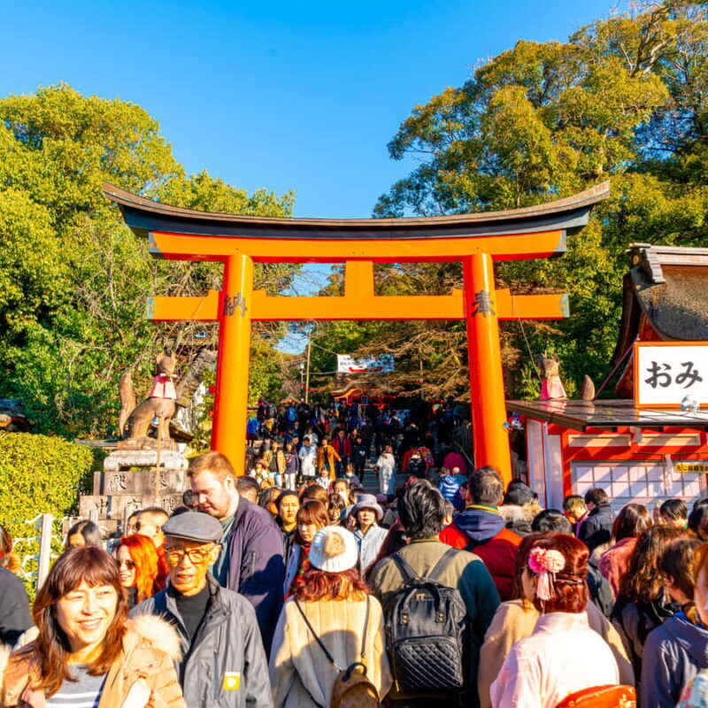 From Kyoto: Kyoto Highlights Private Tour with English Guide - Key Points