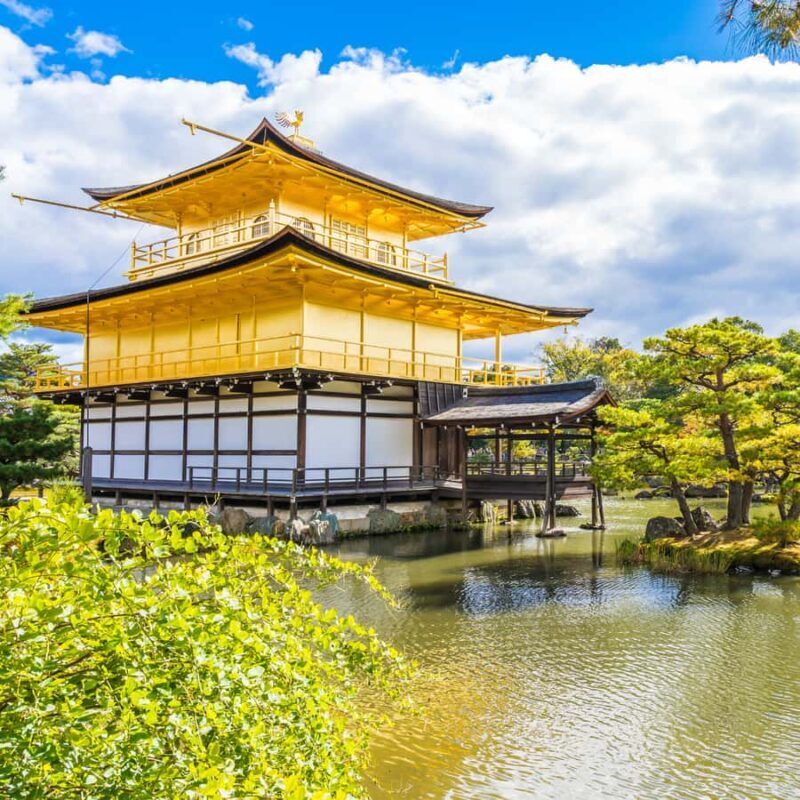 From Kyoto: Kyoto Highlights Private Tour with English Guide - Who Should Consider This Tour?