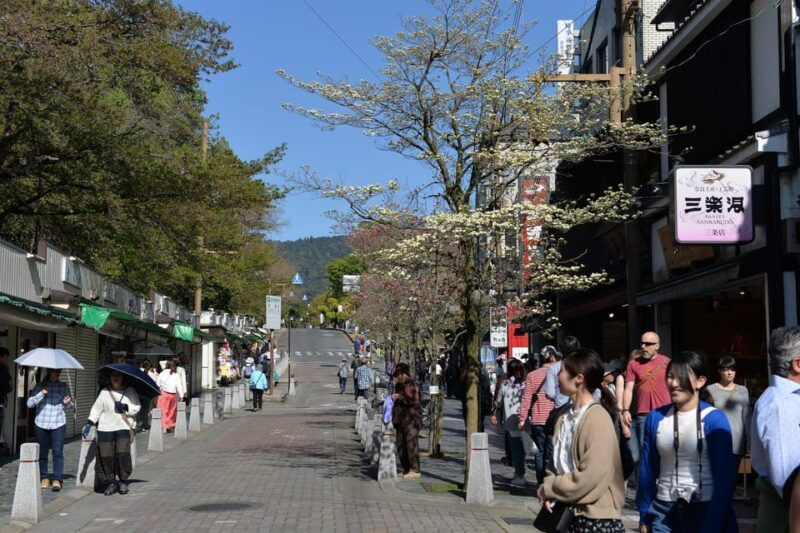 from-kyoto-old-port-town-and-ultimate-sake-tasting-tour