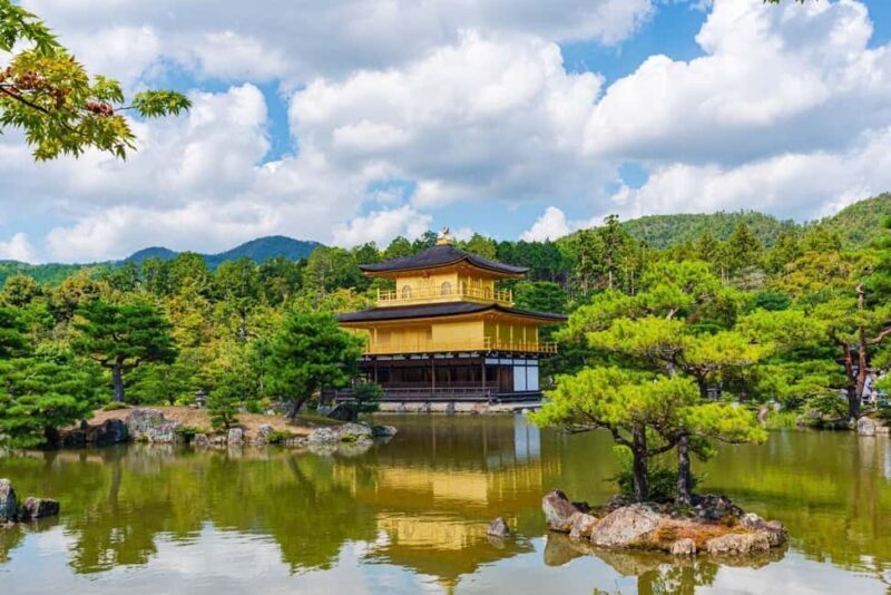 From Kyoto or Osaka: Kyoto Highlights & Nara Park Day Trip - Who Is This Tour Best For?