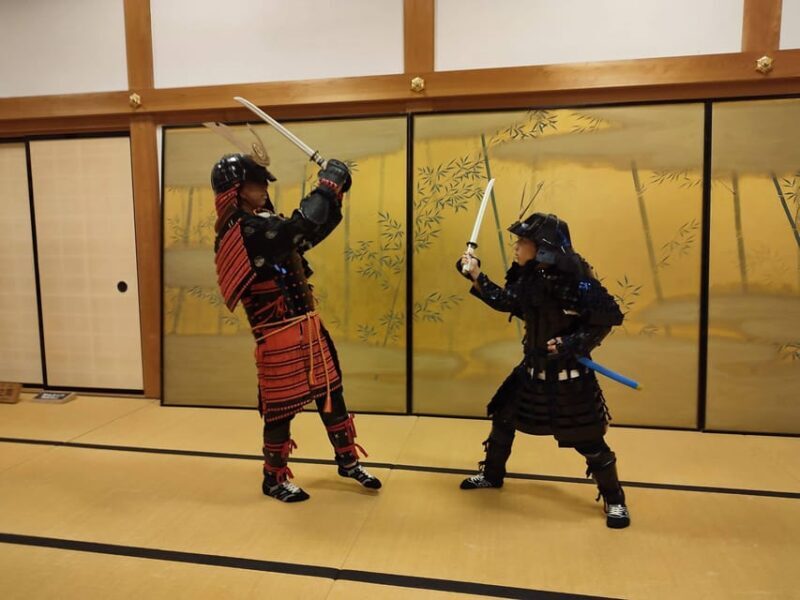 From Kyoto/Osaka/Kobe: Samurai Armor Dressing in a Castle - What to Expect and Tips for Travelers