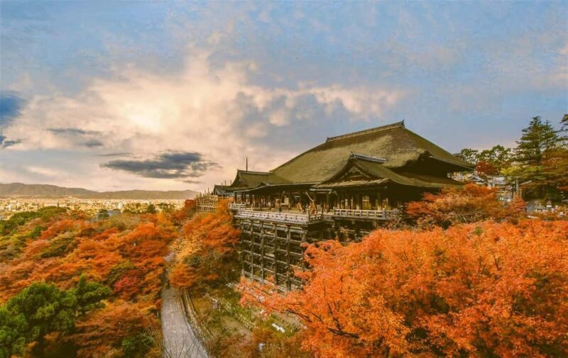 From Kyoto/Osaka Kyoto full day private Hilghts Tour - What Makes This Tour Stand Out?