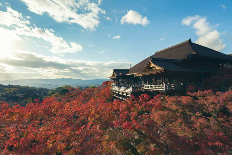 From Kyoto/Osaka Kyoto full day private Hilghts Tour - Key Points