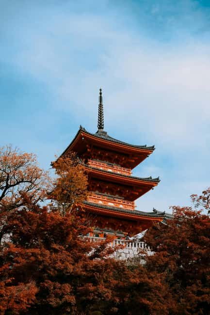 From Kyoto/Osaka Kyoto full day private Hilghts Tour - Who Is This Tour Best Suited For?