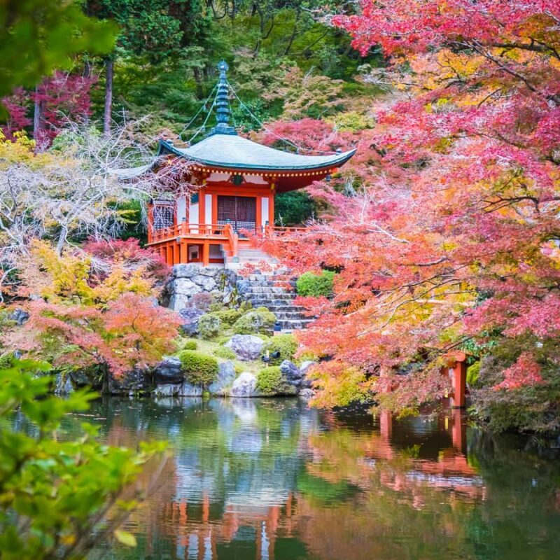 From Kyoto Osaka Nara: Kyoto Private Tour By English Driver - The Sum Up