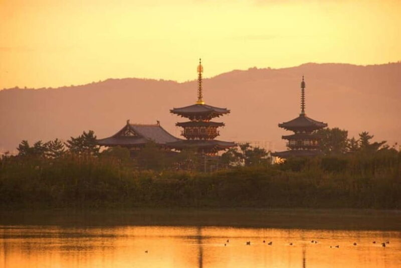 From Kyoto/Osaka: Nara Private Tour with Guide and Vehicle - Who Will Love This Tour?