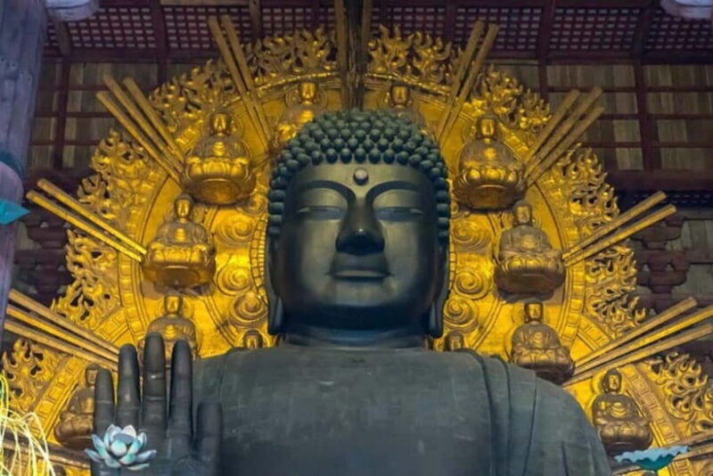 From Kyoto/Osaka: Nara Private Tour with Guide and Vehicle - FAQ