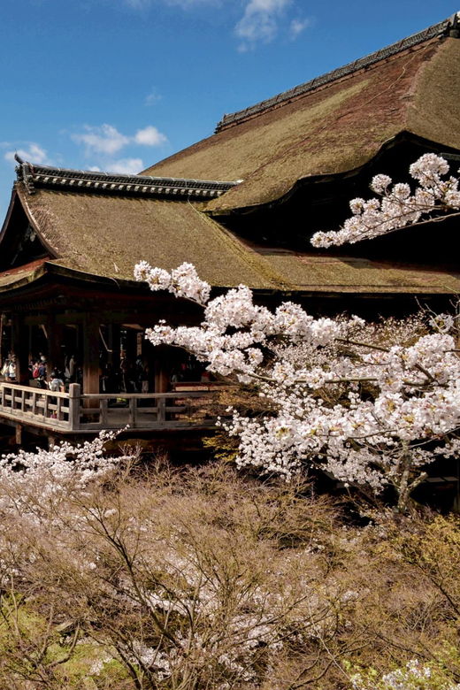 from-kyoto-osaka-sagano-train-ride-and-guided-day-tour