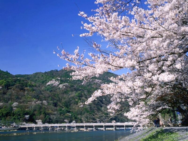 from-kyoto-osaka-sagano-train-ride-and-guided-day-tour