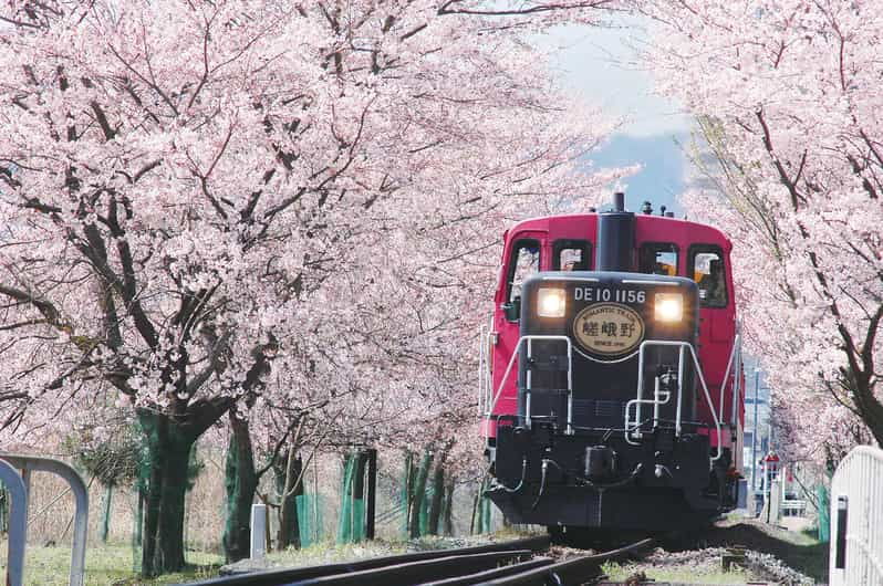 from-kyoto-osaka-sagano-train-ride-and-guided-day-tour
