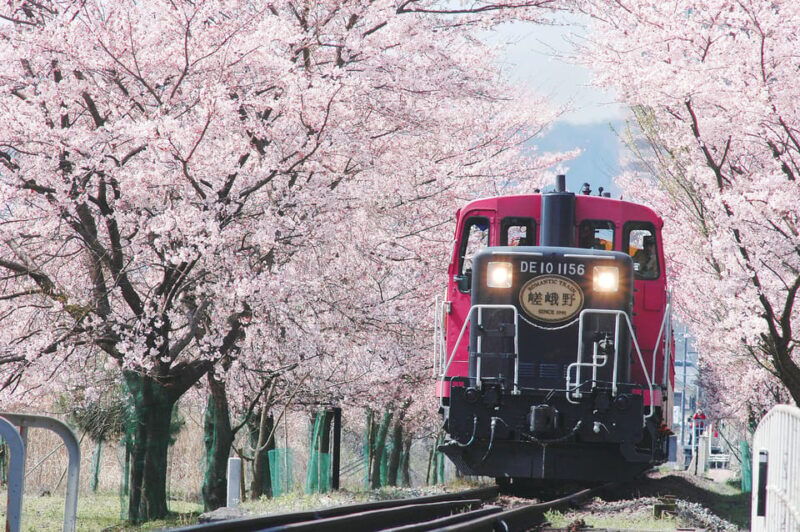from-kyoto-osaka-sagano-train-ride-and-guided-day-tour