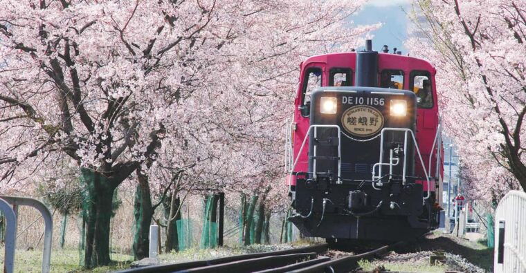 from-kyoto-osaka-sagano-train-ride-and-guided-day-tour