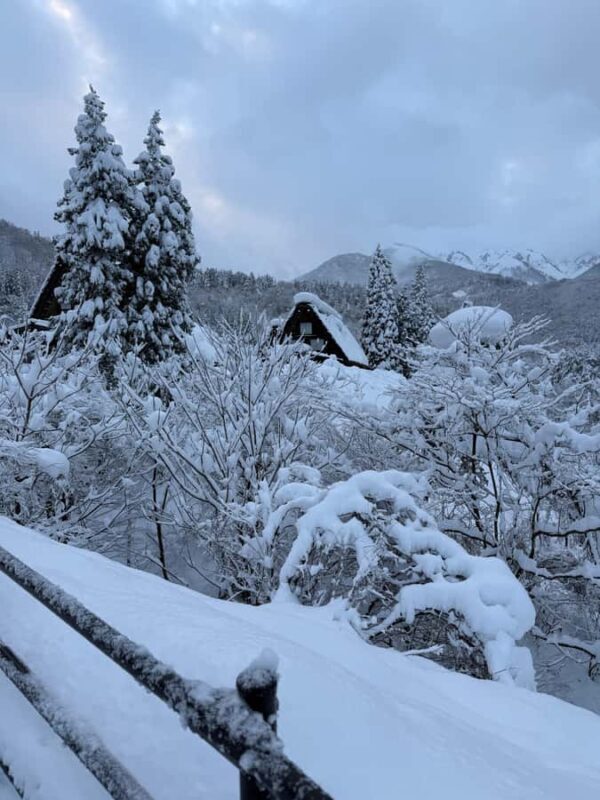 From Kyoto/Osaka: Shirakawa go and Takayama Private Tour - A Detailed Look at the Experience