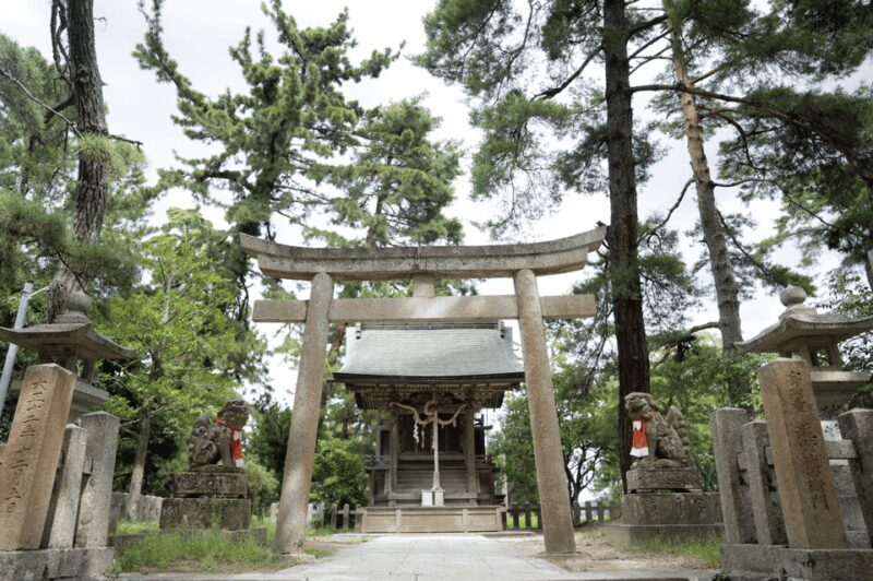 From Kyoto: Private Day Trip to Hidden Amanohashidate & Ine - Final Thoughts