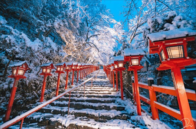 From Kyoto:Day Tour to Kifune Shrine+Kuruma+Sanzen-in Temple - Key Points