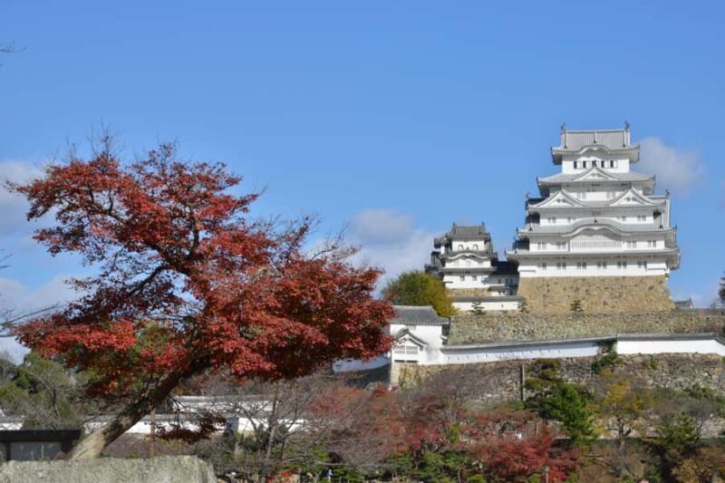 From Kyoto:Premium Kobe Beef & Himeji Castle Deluxe Bus Tour - FAQ