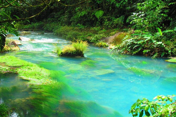 from-la-fortuna-rio-celeste-waterfall-tubing-tour-and-lunch