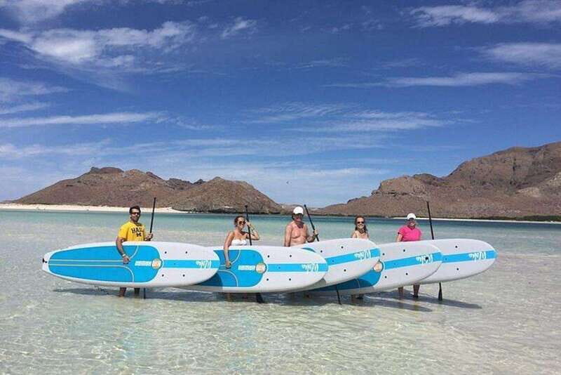 From La Paz: Espiritu Santo Island Adventure - An In-Depth Look at the Espiritu Santo Island Tour