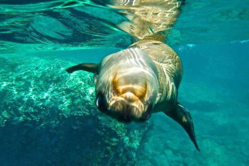 From La Paz: Espiritu Santo Island Adventure - FAQ