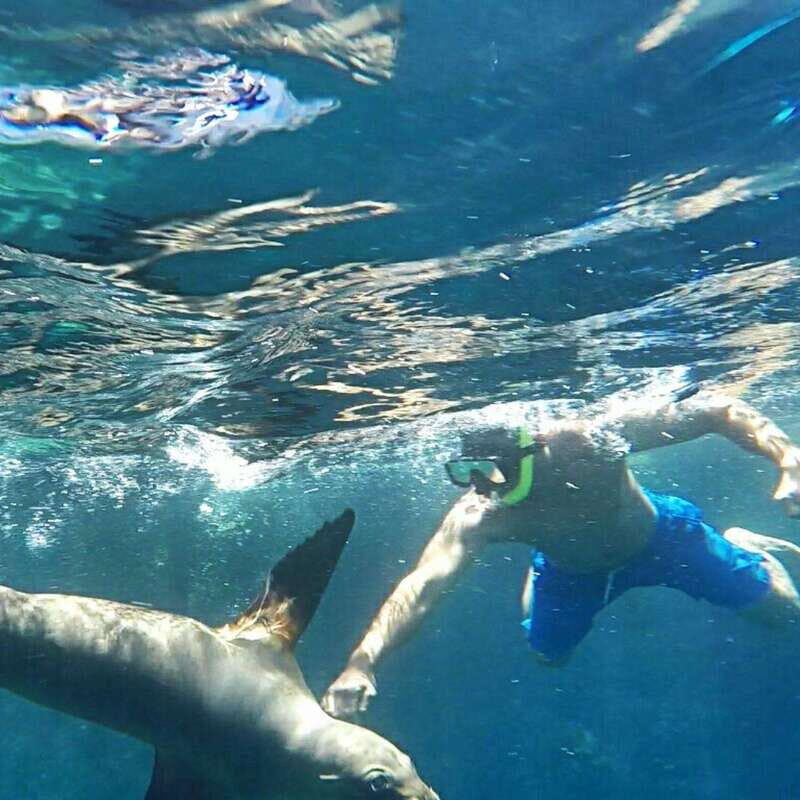 From La Paz: Espíritu Santo Island Tour all inclusive - Exploring the Holy Spirit Island from La Paz: An All-Inclusive Adventure