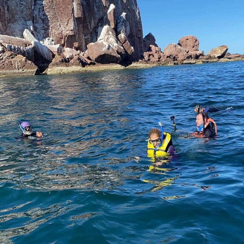 From La Paz: Espíritu Santo Island Tour all inclusive - The Experience Beyond the Basics